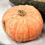 Calabaza Australian Butter