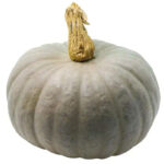 Calabaza Azul de Hungria - Nagydobosi