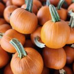 Calabaza Baby Pam