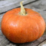 Calabaza Nicaise