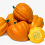 Calabaza Golden Pippin