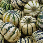 Calabaza Ruffian