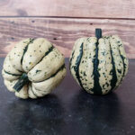 Calabaza Sweet Dumpling