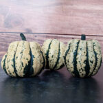 Calabaza Sweet Dumpling