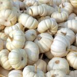 Calabaza Baby Boo