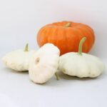 Calabaza Bonetera Blanca Variedad