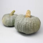 Calabaza Buen Gusto