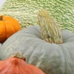 Calabazas comestibles