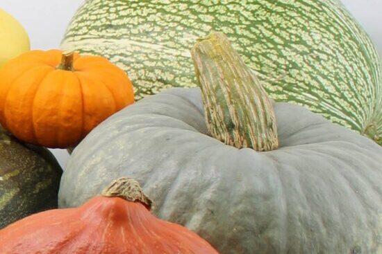 Calabazas comestibles