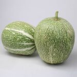 Calabaza Cabello de Angel