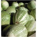 Calabaza Cabello de Angel Verde