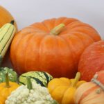 Calabaza Cenicienta Naranja