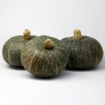 Calabaza Delica
