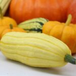 Calabaza Delicata Decoración