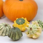 Calabaza Diez Mandamientos Decorativas