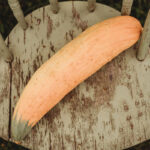 Calabaza Georgia Candy Roaster