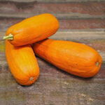 Calabaza Long Pie
