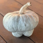 Calabaza Azul Mirecourt - Zucca Montanova