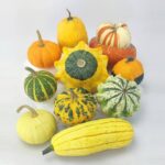 Lote Calabazas Ornamentales Multicolor