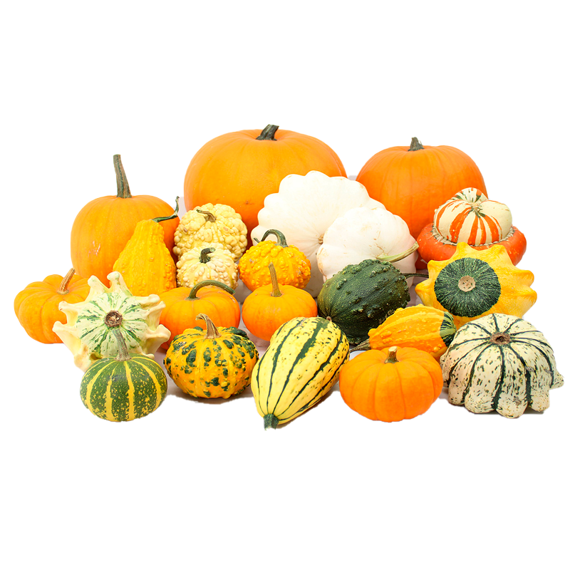 Lote surtido de calabazas