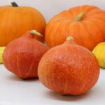 Calabaza Potimarron Decorativa