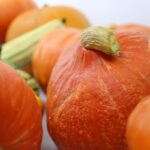 Calabaza Potimarron Naranja