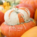 Calabaza Turbante Turco Decoración